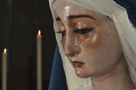 DSC 7895 copia